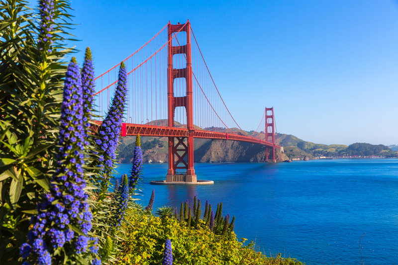  5 must see, must experience things to do in California